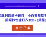 正规暴利流量卡项目，小白零基础零成本无脑照抄也能日入300+【揭秘】