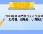 2023电商自然流七天正价起号实战课：起的慢，但是稳，小白执行即可！