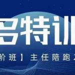 纪主任·5月最新多多特训营高阶班，玩法落地实操，多多全掌握