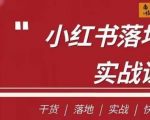 南悟·小红书医疗流量落地实战课，干货/落地/实战/快速上手