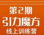 南掌柜·引力魔方拉爆流量班，7天打通你开引力魔方的任督二脉