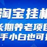 淘宝虚拟产品挂机项目（长期养老项目新手小白也可操作）【揭秘】【更新】