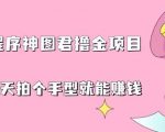 抖音小程序神图君撸金项目，用手机每天拍个手型挂载一下小程序就能赚钱【揭秘】