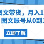 抖音图文带货，月入10w+，图文账号从0到1【揭秘】