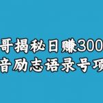 宝哥揭秘日赚3000+抖音励志语录号短视频变现项目