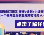 【蓝海主打项目】多多v计划+小红书商单，AI剪辑一个视频三份收益矩阵打法月入十万【揭秘】