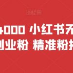 首发价值4000 小红书无限艾特暴力引流创业粉 精准粉揭秘教程