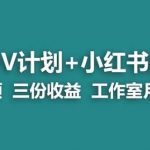 【蓝海项目】多多v计划+小红书商单一个视频三份收益工作室月入10w