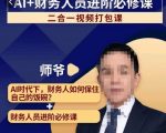 AI+财务人员进阶必修课二合一视频打包课，财务人员进阶必修课