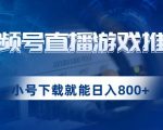 视频号游戏直播推广，用小号点进去下载就能日入800+的蓝海项目【揭秘】