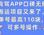 有驾APP口碑无脑搬运项目又来了，单号最高110块，可多号操作