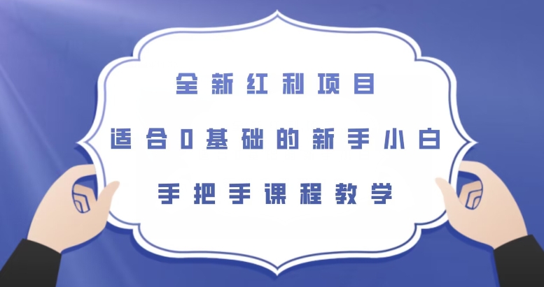 全新红利项目，适合0基础的新手小白，手把手课程教学【揭秘】