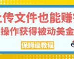 上传文件也能赚钱，轻松操作获得被动美金收入，保姆级教程【揭秘】