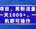 蓝海项目，男粉流量超级猛，一天1000+，一部手机即可操作【揭秘】