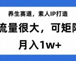 养生赛道，素人IP打造，流量很大，可矩阵，月入1w+【揭秘】