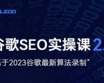 雷子·谷歌SEO 2.0实战课，独立站询盘自由必备，基于2023谷歌最新算法录制