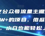 AI图文公众号流量主掘金，月入5W+的项目，傻瓜式发文，小白也能轻松上手【揭秘】