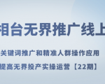 万相台无界推广线上课关键词推广和精准人群操作应用，提高无界投产实操运营【22期】