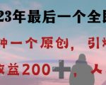 反向演绎详解，引爆评论区，每日稳稳收益200+，2023最后一个全民项目【揭秘】