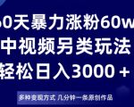 60天暴力涨粉60W，中视频另类玩法，日入3000＋，几分钟一条原创作品多种变现方式