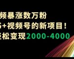 1条视频暴涨数万粉–小红书+视频号的新项目！单月轻松变现2000-4000【揭秘】