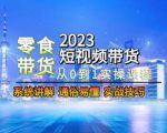 2023短视频带货-零食赛道，从0-1实操课程，系统讲解实战技巧