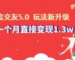 盲盒交友5.0，玩法全新升级，一个月直接变现1.3W，新手小白轻松上手【揭秘】