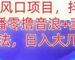 2024风口项目，抖音无人主播撸音浪+卖课程玩法，日入大几千【揭秘】