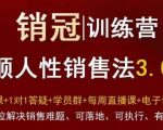 爆款！销冠训练营3.0之顺人性销售法，全方位解决销售难题、可落地、可执行、有结果