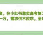 不用投资，在小红书靠卖高考复习资料，月入一万，需求供不应求，全是利润【揭秘】