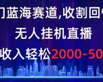 冷门蓝海赛道，收割回忆粉，无人挂机直播，单场收入轻松2000-5w+【揭秘】