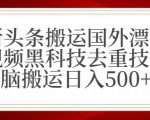 最新头条搬运国外漂亮美女视频黑科技去重技术无脑搬运日入500+【揭秘】