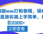 2024最新mm打粉教程，保姆教学，直接实操上手简单，日引2000+【揭秘】