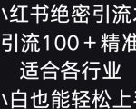 小红书绝密引流术，一天引流100+精准流量，适合各个行业，小白也能轻松上手【揭秘】