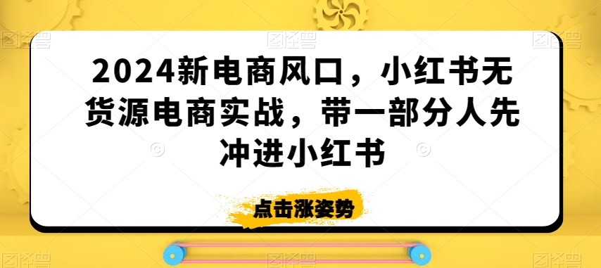 2024新电商风口，小红书无货源电商实战，带一部分人先冲进小红书