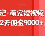 东哲日记·萌宠短视频带货，2天佣金9000+