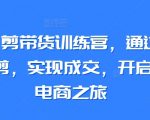 小红书混剪带货训练营，通过小红书搬运混剪，实现成交，开启小红书电商之旅