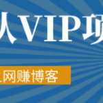 暴疯团队VIP赚钱项目教程之（SEO实操课程之网赚博客）