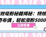 两个高效吸粉秘籍揭秘：特效加持与神奇布偶，轻松涨粉5000+【揭秘】