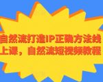 自然流打造IP正确方法线上课，自然流短视频教程