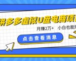 拼多多虚拟U盘电商红利项目：月赚2万+，新手小白也能玩