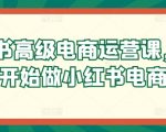 小红书高级电商运营课，从0开始做小红书电商