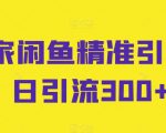 独家闲鱼精准引流，日引流300+【揭秘】