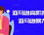 亚马逊高阶打法课，亚马逊暴力打法