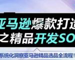 【训练营】亚马逊爆款打造之精品开发SOP，系统化洞察亚马逊精品选品全流程