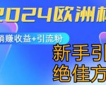 2024欧洲杯风口的玩法及实现收益躺赚+引流粉丝的方法，新手小白绝佳项目【揭秘】