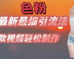 se粉最新最细引流法，七天螺旋起号法，爆款视频轻松制作【揭秘】