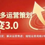 2024-2025拼多多运营策略蜕变3.0，0~1完美蜕变，解决信息焦虑