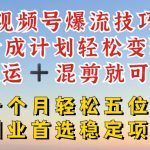 视频号爆流技巧，分成计划轻松变现，搬运 +混剪就可以，一个月轻松五位数稳定项目【揭秘】