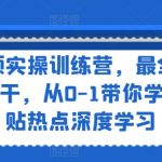 短视频实操训练营，最全·最新·最干，从0-1带你学IP，紧贴热点深度学习